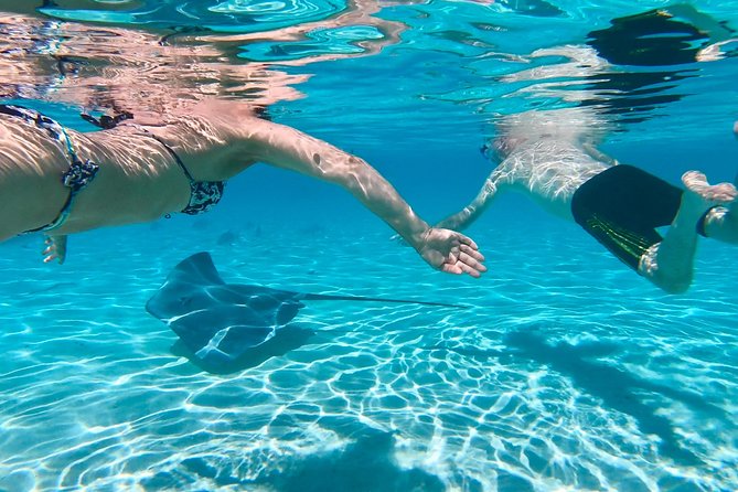 Half Day Tour : Moorea Snorkeling & Sailing on a Catamaran named Taboo - Ōpūnohu Bay in 15 minutes: quick views and local stories