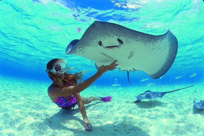 Half Day Tour : Moorea Snorkeling & Sailing on a Catamaran named Taboo - Onboard food and drinks: fruit, juice, and mai tais without the fuss