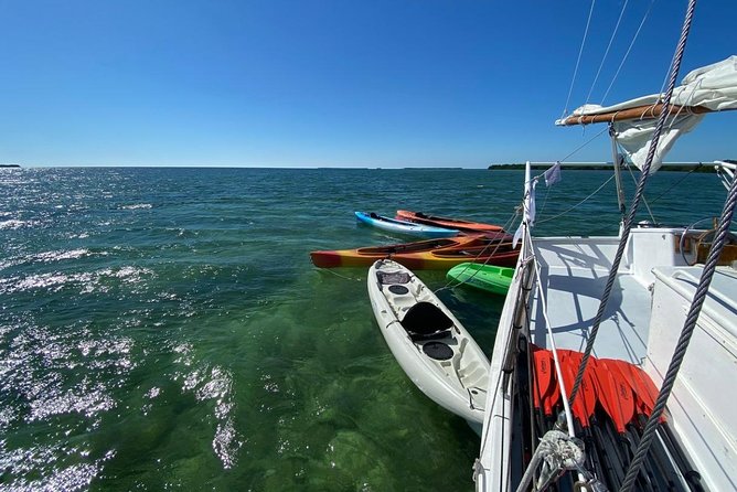 Half-Day Trip from Key West with Kayaking, Snorkeling & Sunset - Stop 1: Florida Keys National Marine Sanctuary kayaking through mangroves