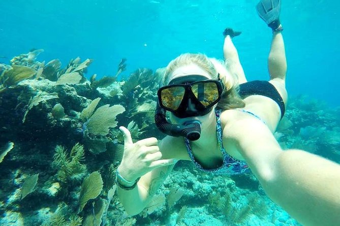 Half-Day Trip from Key West with Kayaking, Snorkeling & Sunset - Reef snorkeling: what to expect and how to judge the day fairly