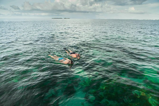 Half-Day Trip from Key West with Kayaking, Snorkeling & Sunset - What to bring (and what you can skip)