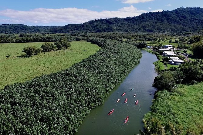 Hanalei Bay Morning Kayak and Snorkel Tour - Hanalei River kayak: easing in, then gliding toward the bay