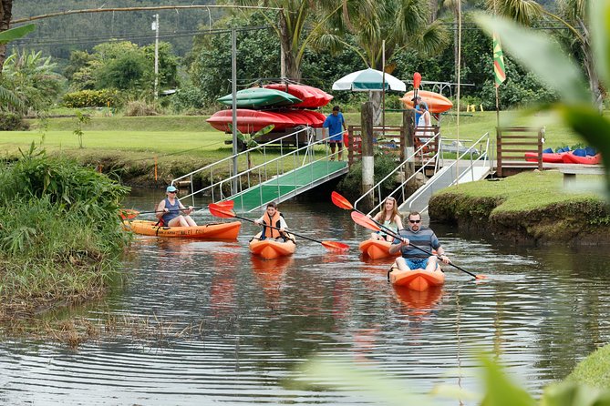 Hanalei Bay Morning Kayak and Snorkel Tour - Who this tour is best for (and who should pass)