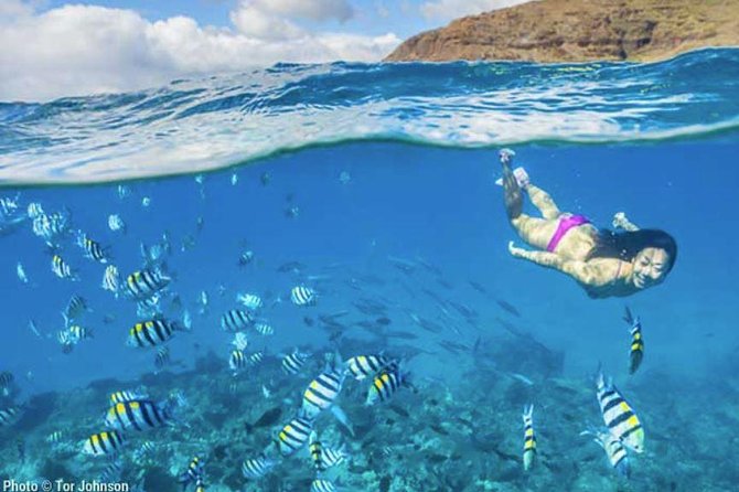 Hanalei River Paddle and Bay Snorkel Tour with Lunch - Lunch on the Beach: The Built-In Break That Improves the Whole Day