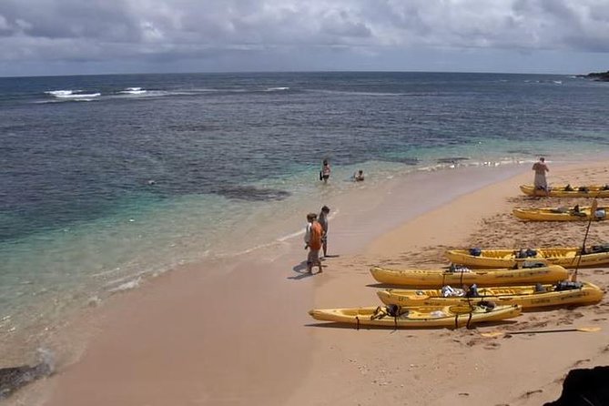 Hanalei River Paddle and Bay Snorkel Tour with Lunch - Price and Value: Is $155 Worth It?