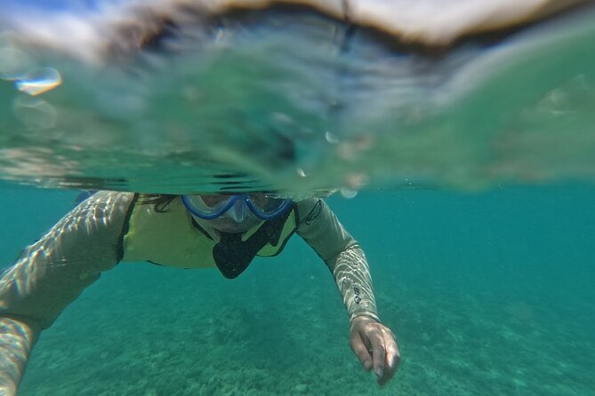 Hanauma Bay Guided Snorkeling Tour with Transportation - Key things to know before you go