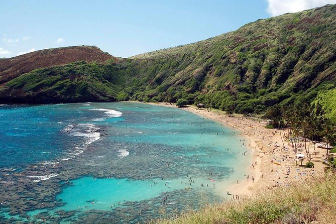Hanauma Bay Snorkeling - Waikiki hotel pickup: the value of not driving yourself