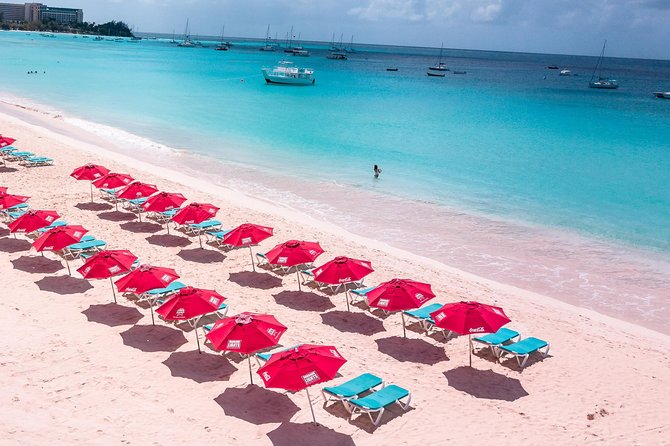 Harbour Lights-Chair &Turtle Shipwreck Snorkel Tour(10:30-1:30pm) - The beach club time: what “2-in-1” feels like in real life
