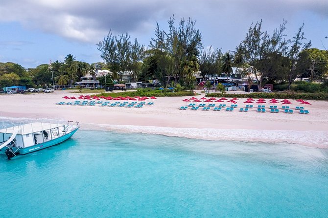 Harbour Lights-Chair &Turtle Shipwreck Snorkel Tour(10:30-1:30pm) - Crowds, timing, and why cruise days change the vibe
