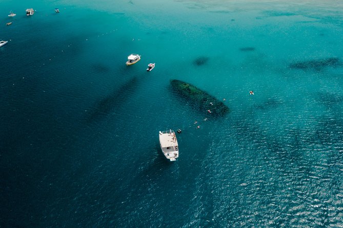 Harbour Lights-Chair &Turtle Shipwreck Snorkel Tour(10:30-1:30pm) - Price and value vs ship excursions (and what’s not included)
