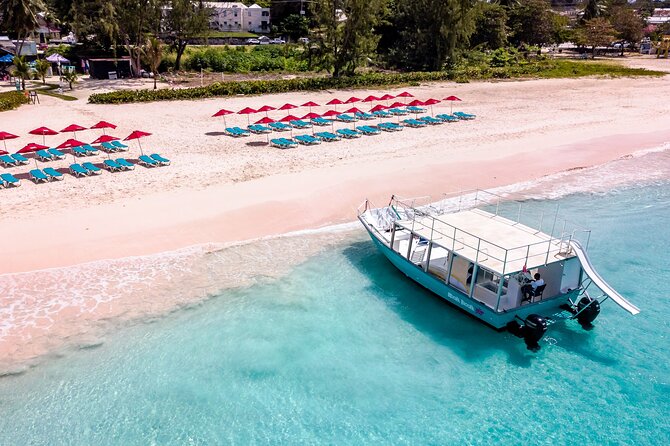 Harbour Lights-Chair &Turtle Shipwreck Snorkel Tour(10:30-1:30pm) - Who this tour suits best in Barbados