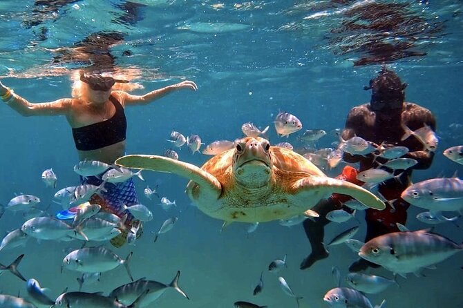 Harbour Lights-Chair &Turtle Shipwreck Snorkel Tour(10:30-1:30pm) - Getting to Harbour Lights and locking in your sunbed fast