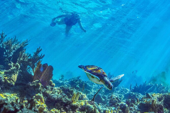Hidden Cenote Swim: Snorkeling, Sea Turtles and Beachside Lunch - Guides and the vibe: why names matter (and what to watch for)
