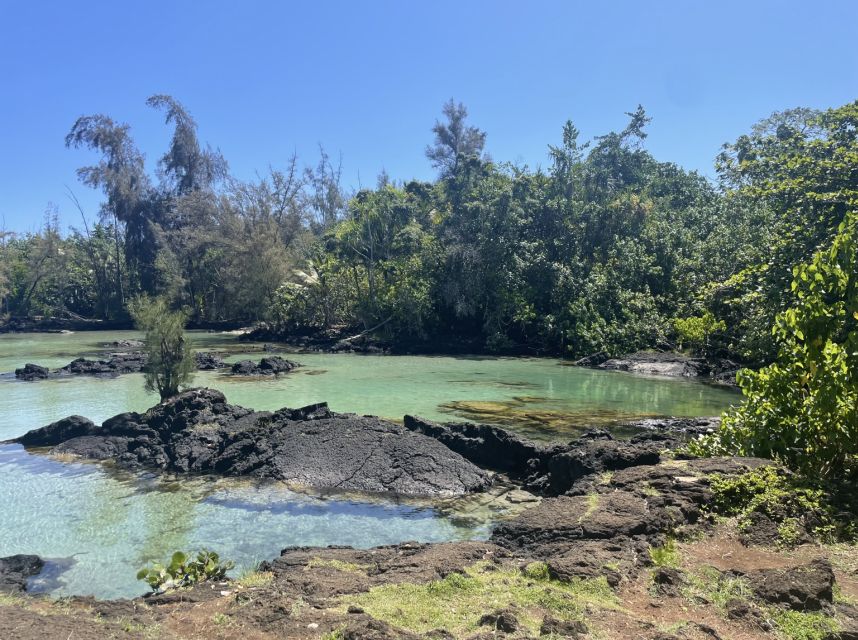 Hilo: Sea Turtle Lagoon and Black Sand Beach Snorkel - Who This Tour Fits Best (And Who Should Skip It)