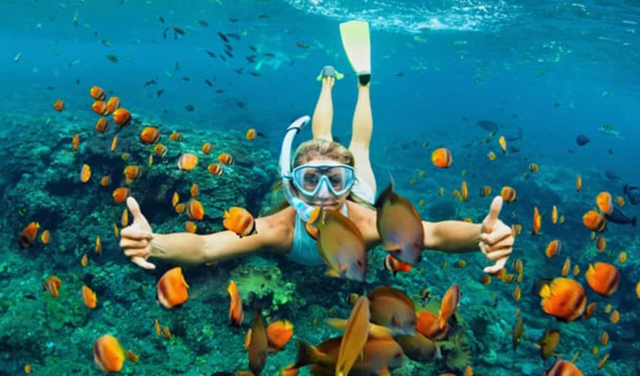 Hoi An: Cham Islands Snorkeling Trip by Speedboat with Lunch - Getting to Cua Dai Pier: the start of the day