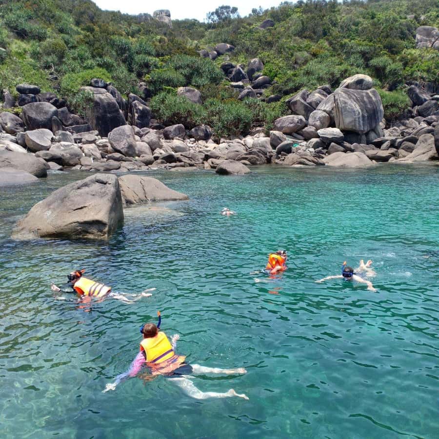 Hoi An: Cham Islands Snorkeling Trip by Speedboat with Lunch - Should I book this tour or pass?