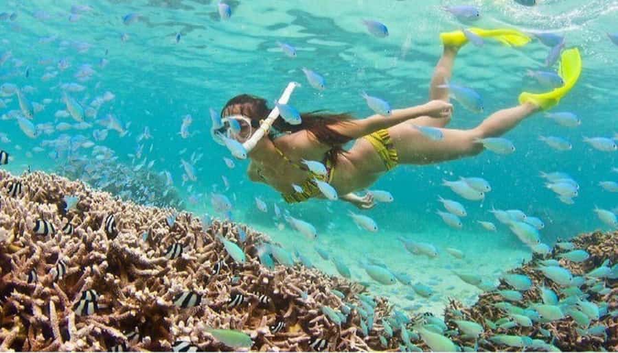 Hoi An: Cham Islands Snorkeling Trip by Speedboat with Lunch - The speedboat ride: fast, windy, and a little bumpy