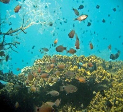 Hoi An: Cham Islands Snorkeling Trip by Speedboat with Lunch - Cham Island highlights: culture before you hit the water