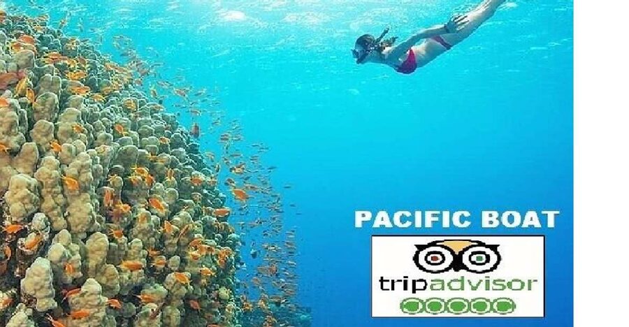 Hoi An/Da Nang: Snorkeling and Island Hopping Speedboat Tour - Key Points to Know Before You Go