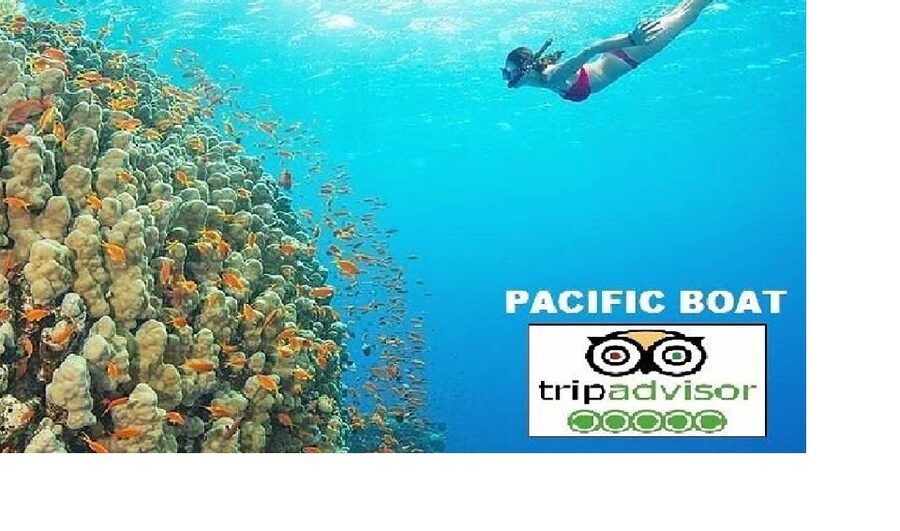 Hoi An/Da Nang: Snorkeling and Island Hopping Speedboat Tour - Why This Cham Islands Snorkeling Day Works So Well