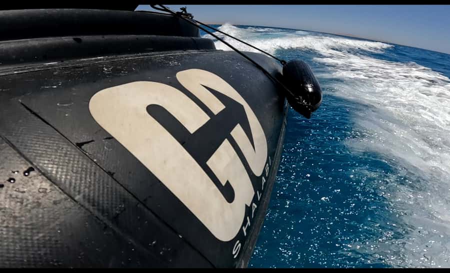 Hurghada: 3-Island Speedboat, Dolphin Watching & Snorkeling - Snorkeling guide support: why small, guided water time is better