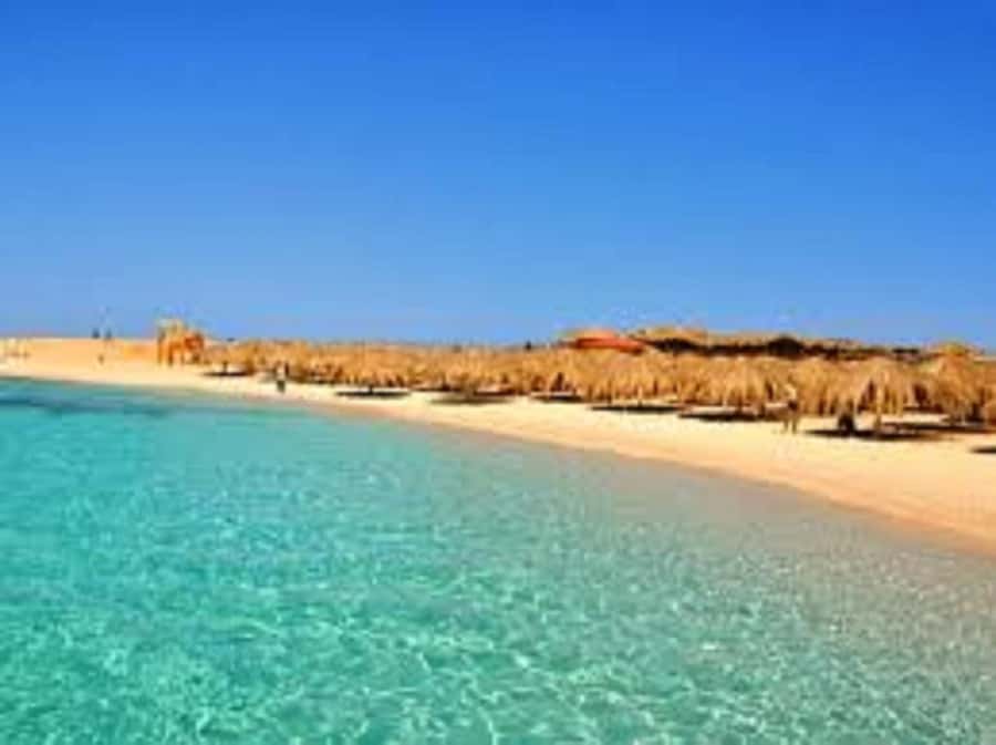 Hurghada: 3-Island Speedboat, Dolphin Watching & Snorkeling - Magawish Island: another hour of “this is why I came”