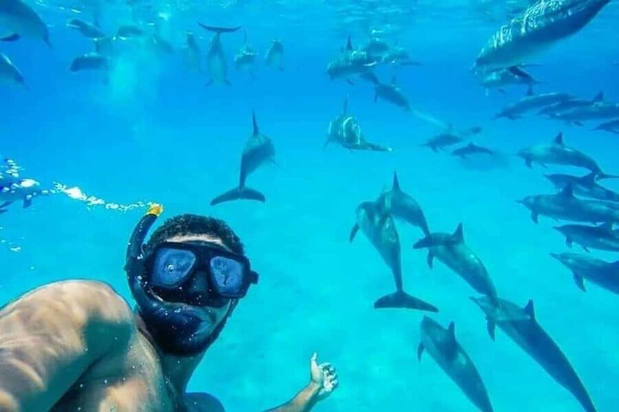 Hurghada: Dolphin & Coral Reef Snorkeling Tour with Lunch - Dolphin watching: what to expect when you’re chasing wild animals
