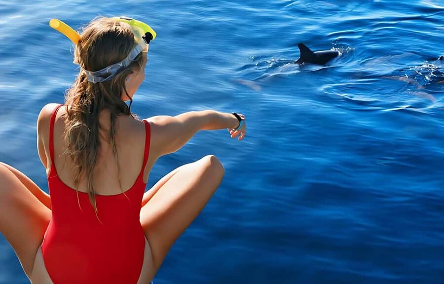 Hurghada: Dolphin Cruise with Snorkeling & Buffet Lunch - Why This Hurghada Dolphin Cruise Hits the Right Mix