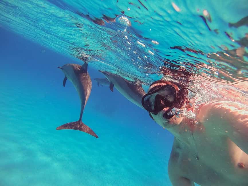 Hurghada: Dolphin Watching Boat Tour with Snorkeling & Lunch - Leaving Hurghada From Public Beach No. 9 for a Classic Red Sea Day
