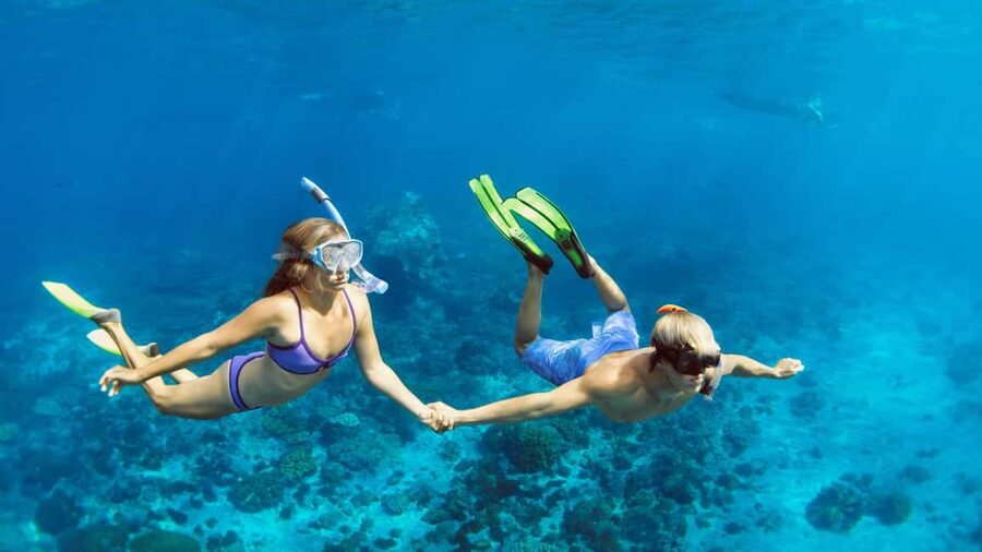 Hurghada: Dolphin Watching Boat Tour with Snorkeling & Lunch - Lunch on the Boat: Buffet Food and Soft Drinks That Keep the Day Easy