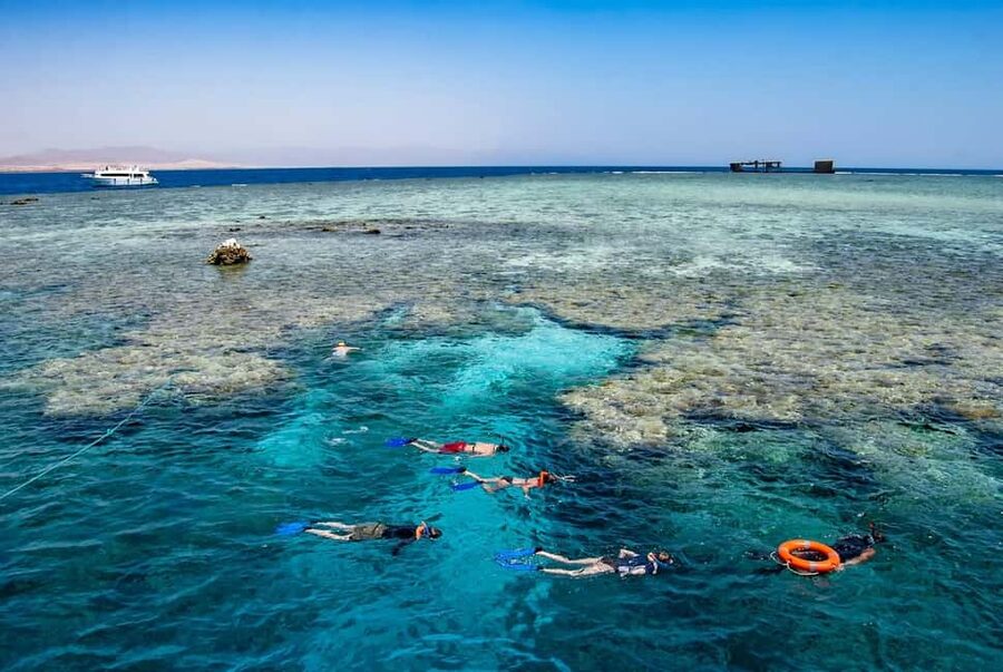 Hurghada: Dolphin Watching Boat Tour with Snorkeling & Lunch - Price and Value: Why $25 Can Actually Be a Deal Here