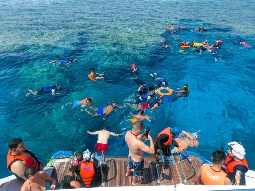 Hurghada: Dolphin Watching Boat Tour with Snorkeling & Lunch - Practical Tips Before You Go (So the Day Stays Comfortable)