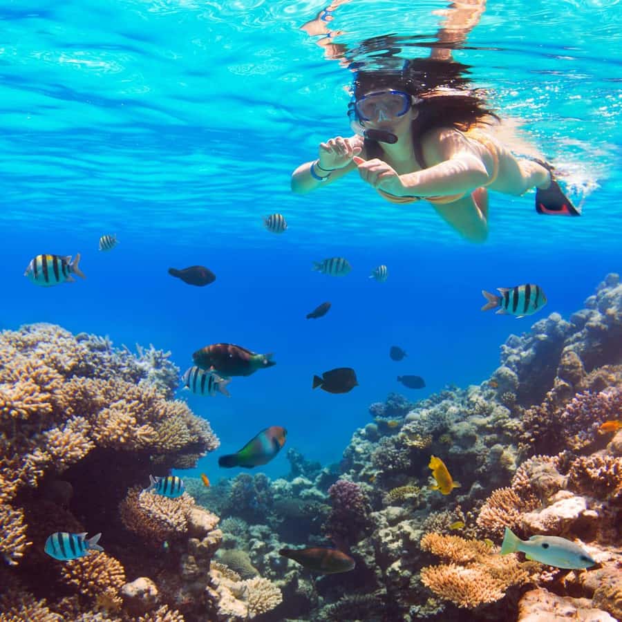 Hurghada:Luxury Diving & Snorkeling inc/Island/Lunch/Massage - A luxury yacht day in Hurghada, built around comfort