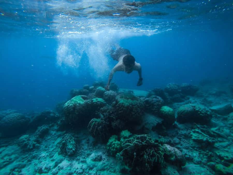 Hurghada:Luxury Diving & Snorkeling inc/Island/Lunch/Massage - The scuba intro at Giftun: no certificate, but do expect a short underwater session