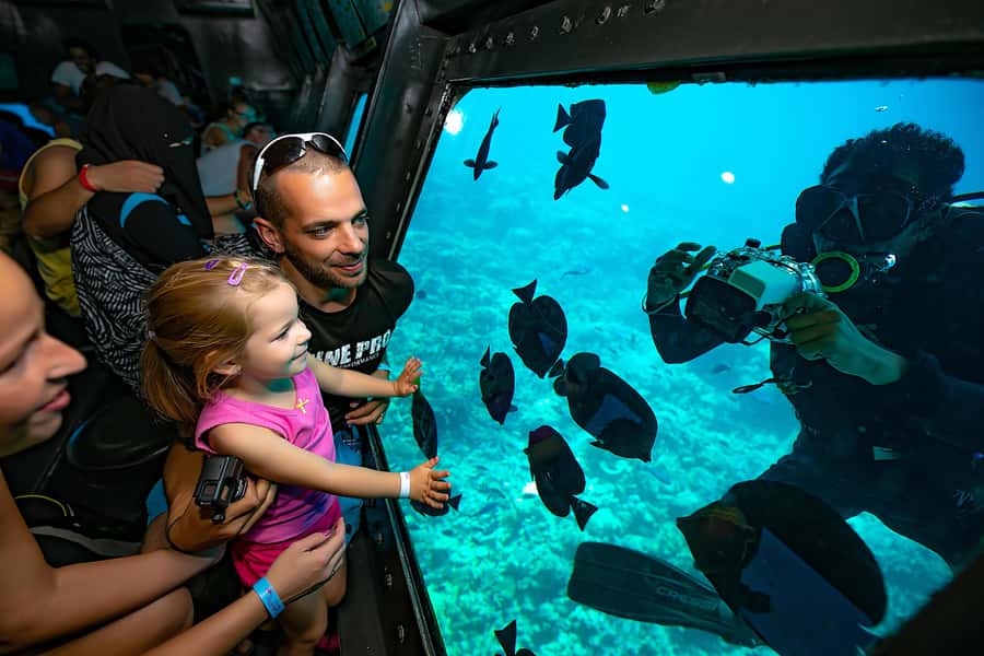 Hurghada: Panoramic Semi-Submarine Cruise with Snorkeling - Price and value: around $18 for a half-day that includes the hard parts