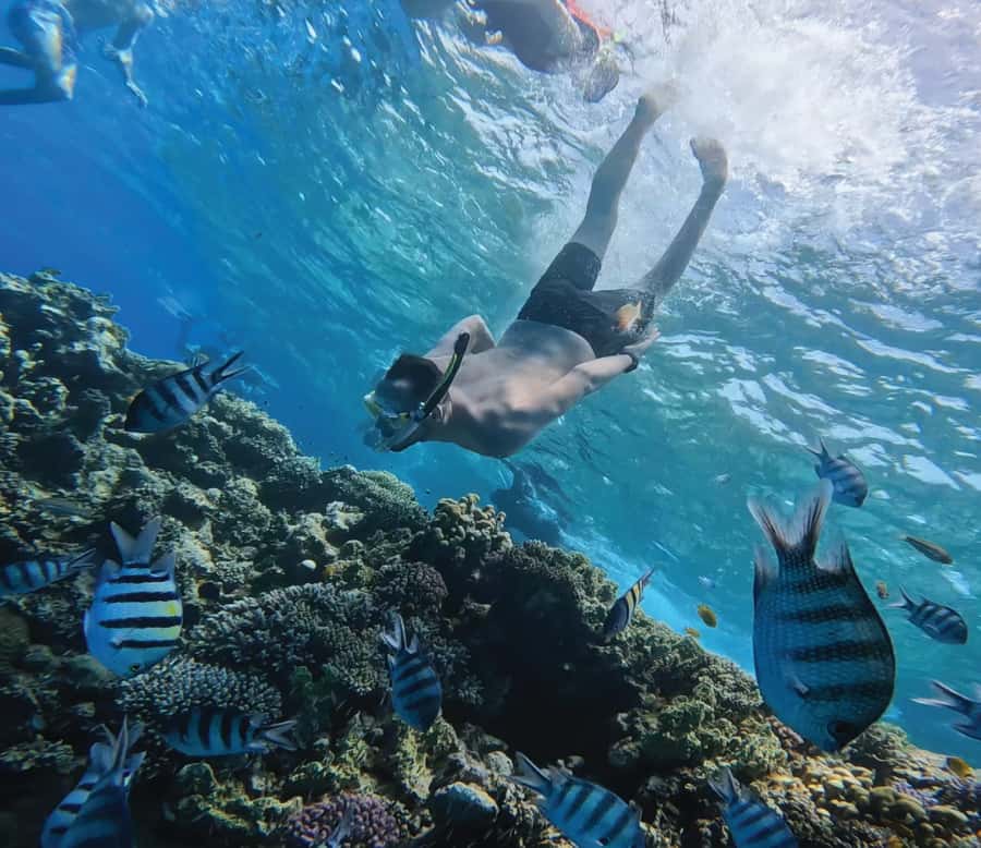 Hurghada: Premium Orange Island Cruise with Lunch & Transfer - Two snorkeling stops: the real value is the coral time