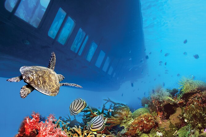 Hurghada: Royal Seascope Submarine Cruise with Snorkel Stop - Who you’ll meet onboard: crew names and what they tend to do