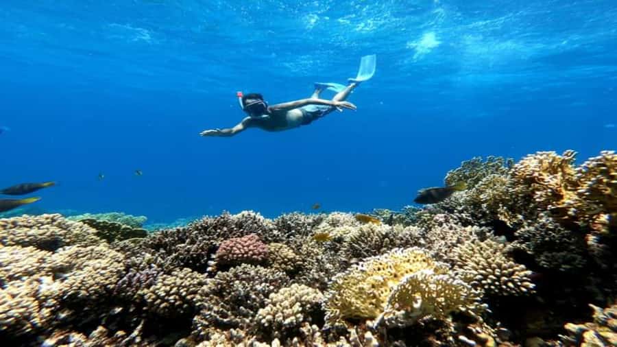 Hurghada: Snorkeling 6 x 1 to Orange Bay w Diving & Massage - From hotel pickup to the Red Sea: the day’s rhythm