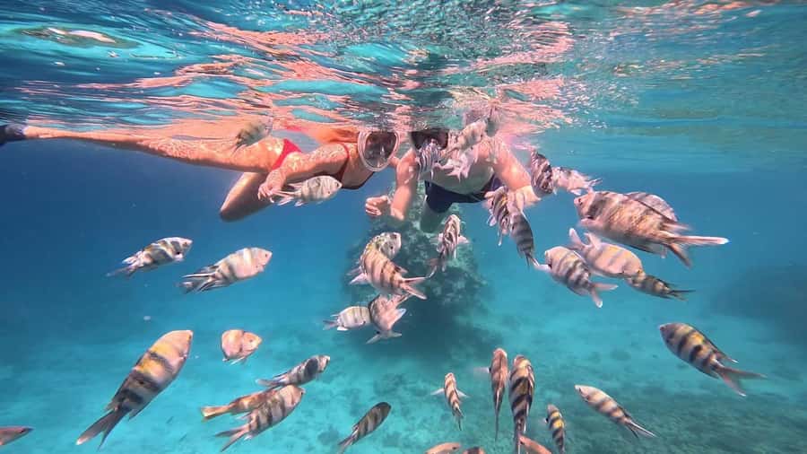 Hurghada: Snorkelling Trip by Speedboat with Hotel Pickup - Stop 1: Magawish Island Snorkeling and Coral-Spotting
