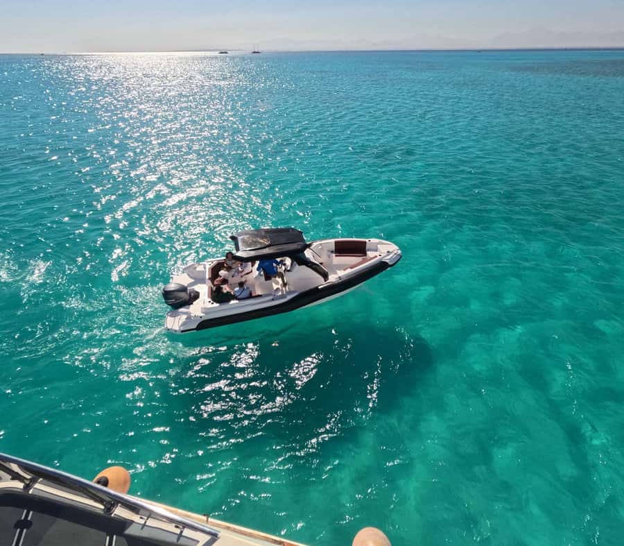 Hurghada: Speedboat Dolphin Watching & Snorkeling with Lunch - Key things to know before you go