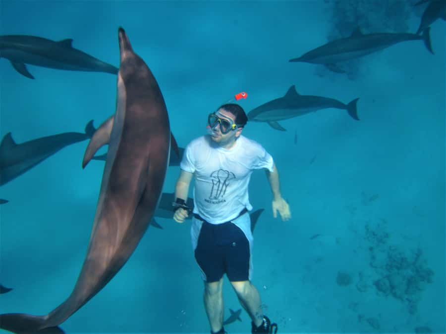 Hurghada: Speedboat Dolphin Watching & Snorkeling with Lunch - Hurghada speedboat day: how the cruise is timed