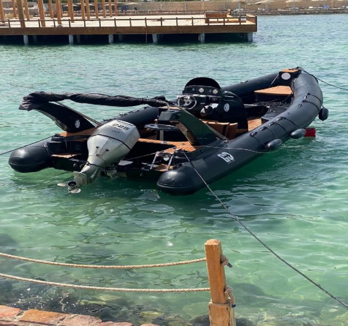 Hurghada: Speedboat Dolphin Watching & Snorkeling with Lunch - Reef snorkeling with 2–3 stops and real guide help
