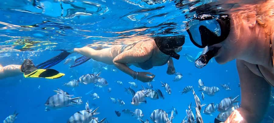 Hurghada: White Island Speedboat Tour, Snorkeling, & Lunch - Who should book this White Island and Nemo Island tour