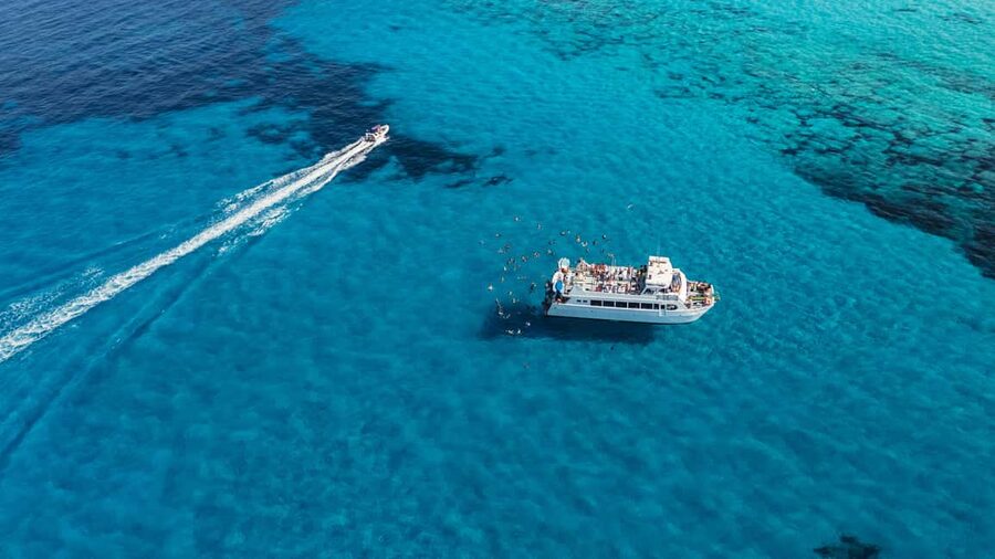 Ibiza: Formentera Trip with Paddle, Snorkel and Lunch - Price and value: why $81 feels like a deal here