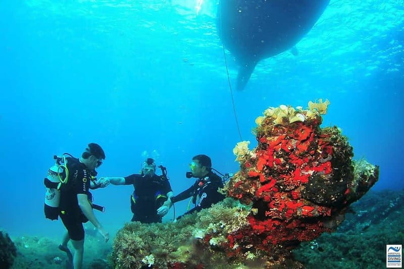 Ibiza Scuba Diving for Beginners and Snorkeling - What Happens Before You Ever Go Under: Medical Form + Safety Briefing