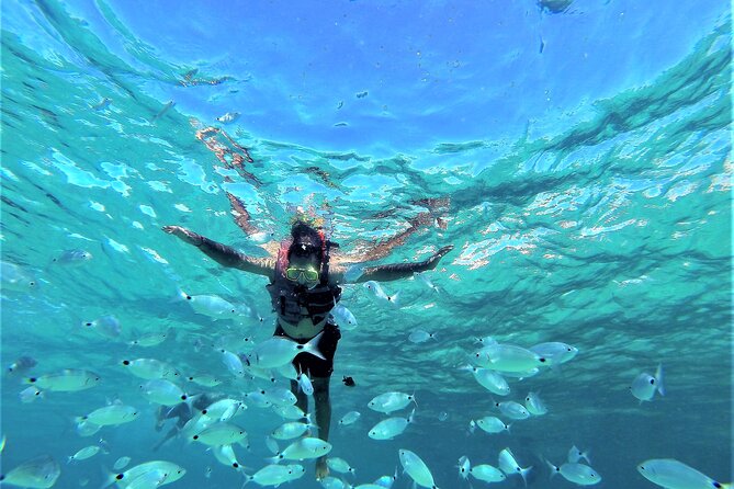 Ibiza Sunset Snorkeling Beach and Cave Tour - Cala Bassa swim and snorkel: quick access to clear water moments