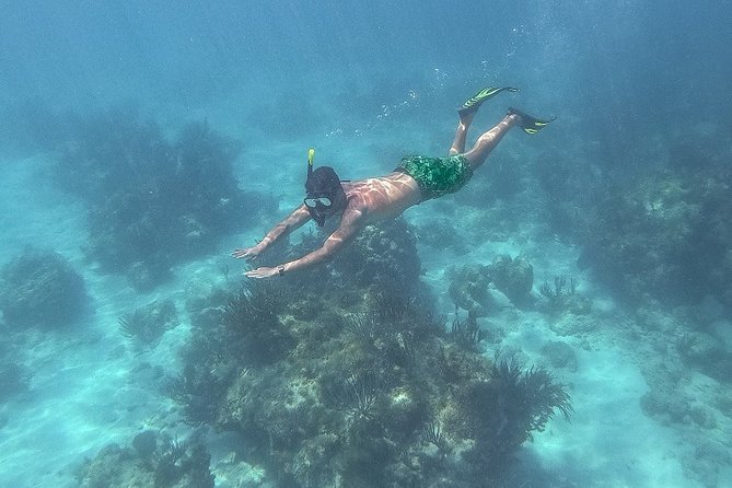 Icacos Deserted Island Catamaran, Snorkel, and Picnic Cruise - Snorkeling at Icacos: why the reef can be hit-or-miss