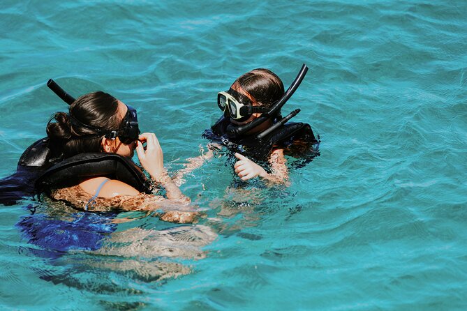Iconic Aruba Sail and Snorkel Experience - Gear included and first-time friendly habits that help