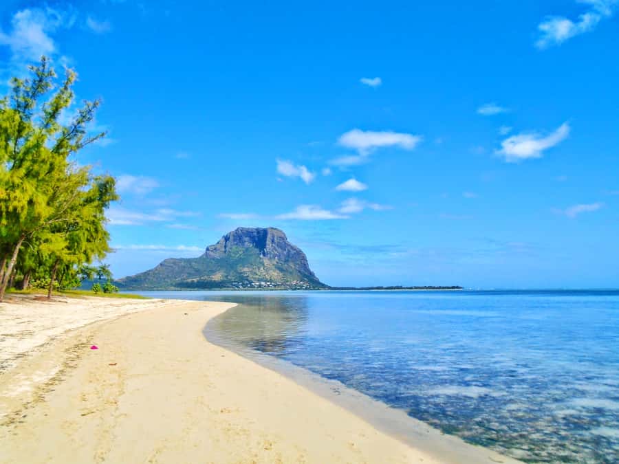 Île aux Bénitiers: Snorkeling w/Dolphins Boat Tour & Lunch - Crystal Rock snorkel near Le Morne: clear water, photos, and reef time
