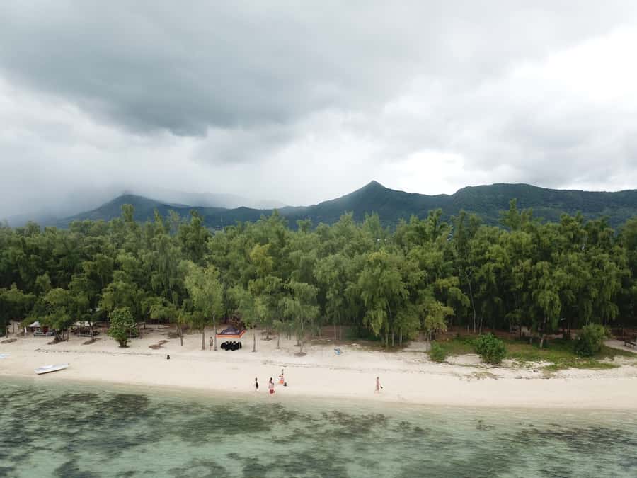 Île aux Bénitiers: Snorkeling w/Dolphins Boat Tour & Lunch - Beach time and coral reefs: what to do once lunch is done